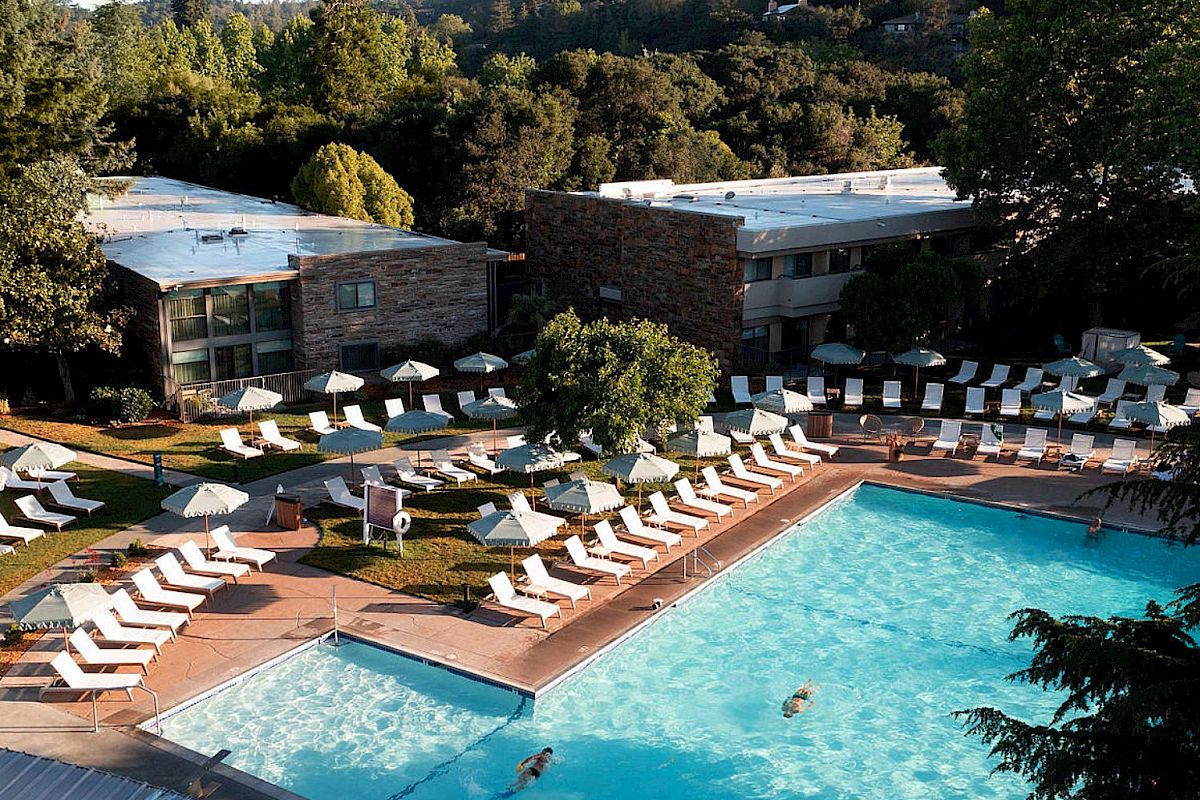 Flamingo Santa Rosa Ca Entertainment