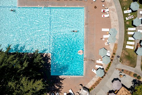 Best Pool Santa Rosa Resort - Book Poolside Cabanas | Flamingo Resort